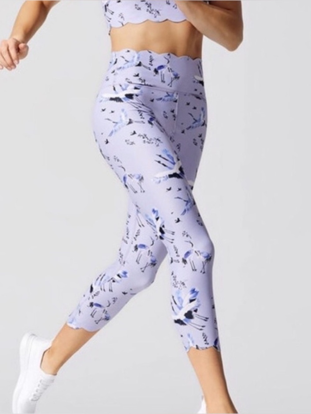 Carbon38 Bird Collection Scalloped Crane Leggings S